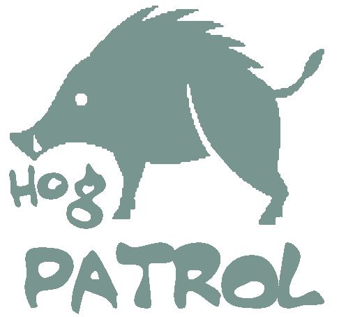 Hog Hunting Site
