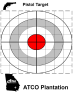 ATCO Plantaqtion - Red and Gray Pistol Target